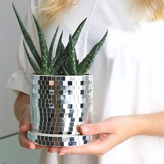 Disco Planter